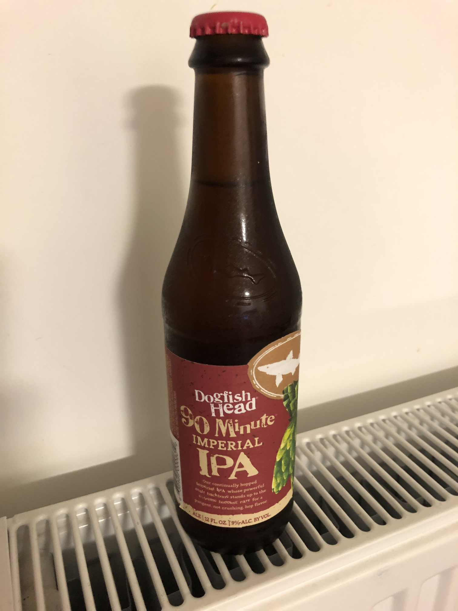 90 Minute IPA