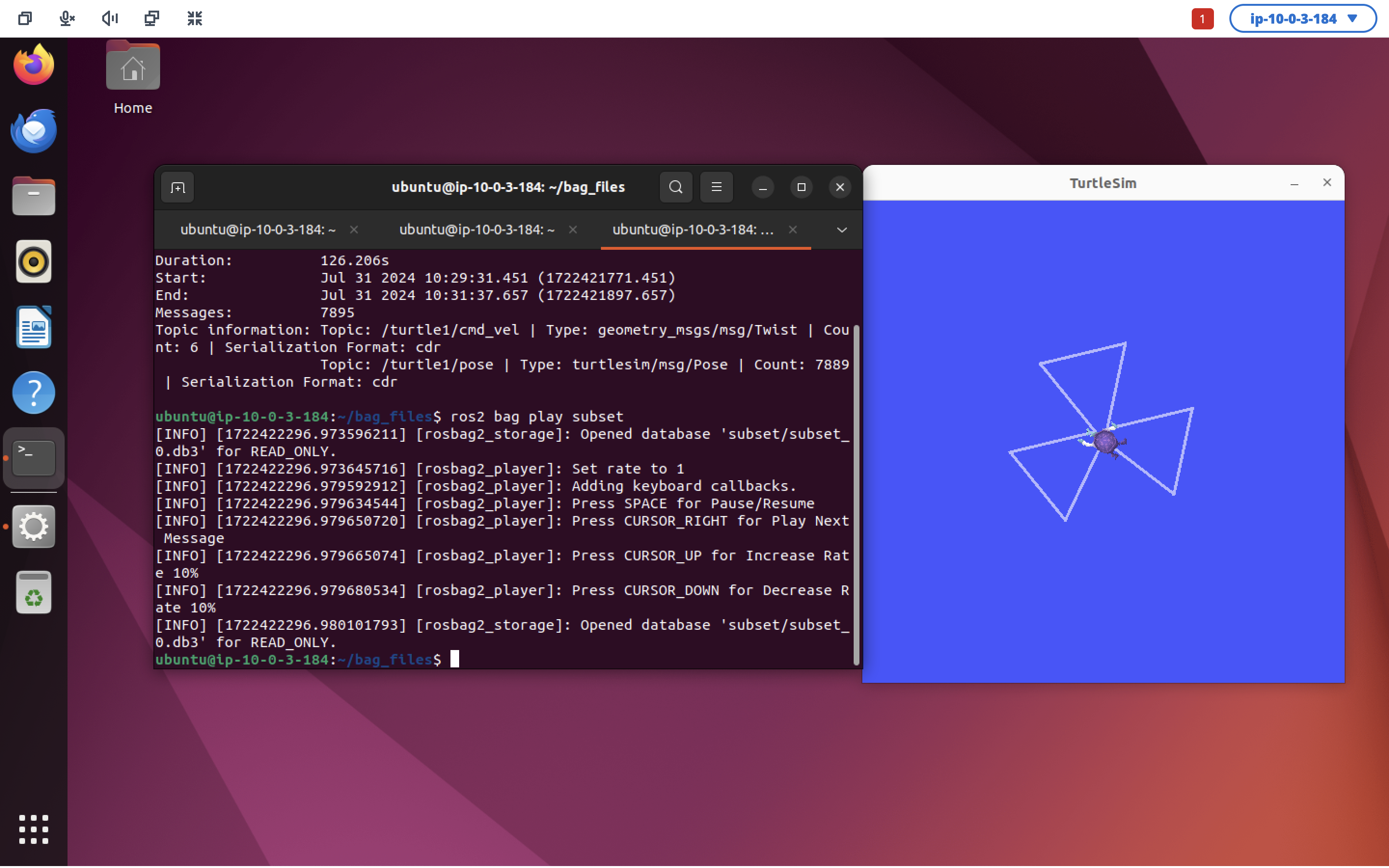 The turtle, moving again