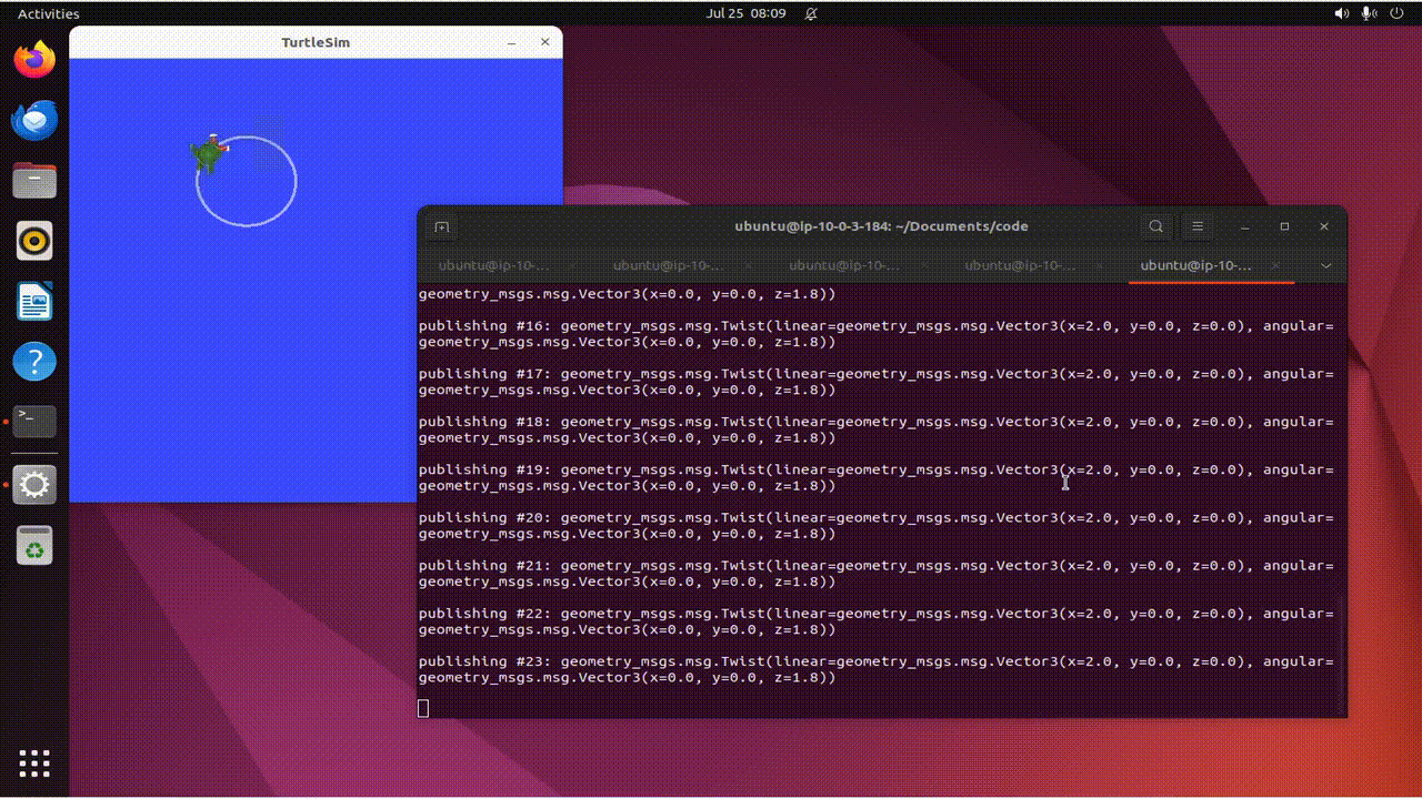 Our turtle, going in happy circles