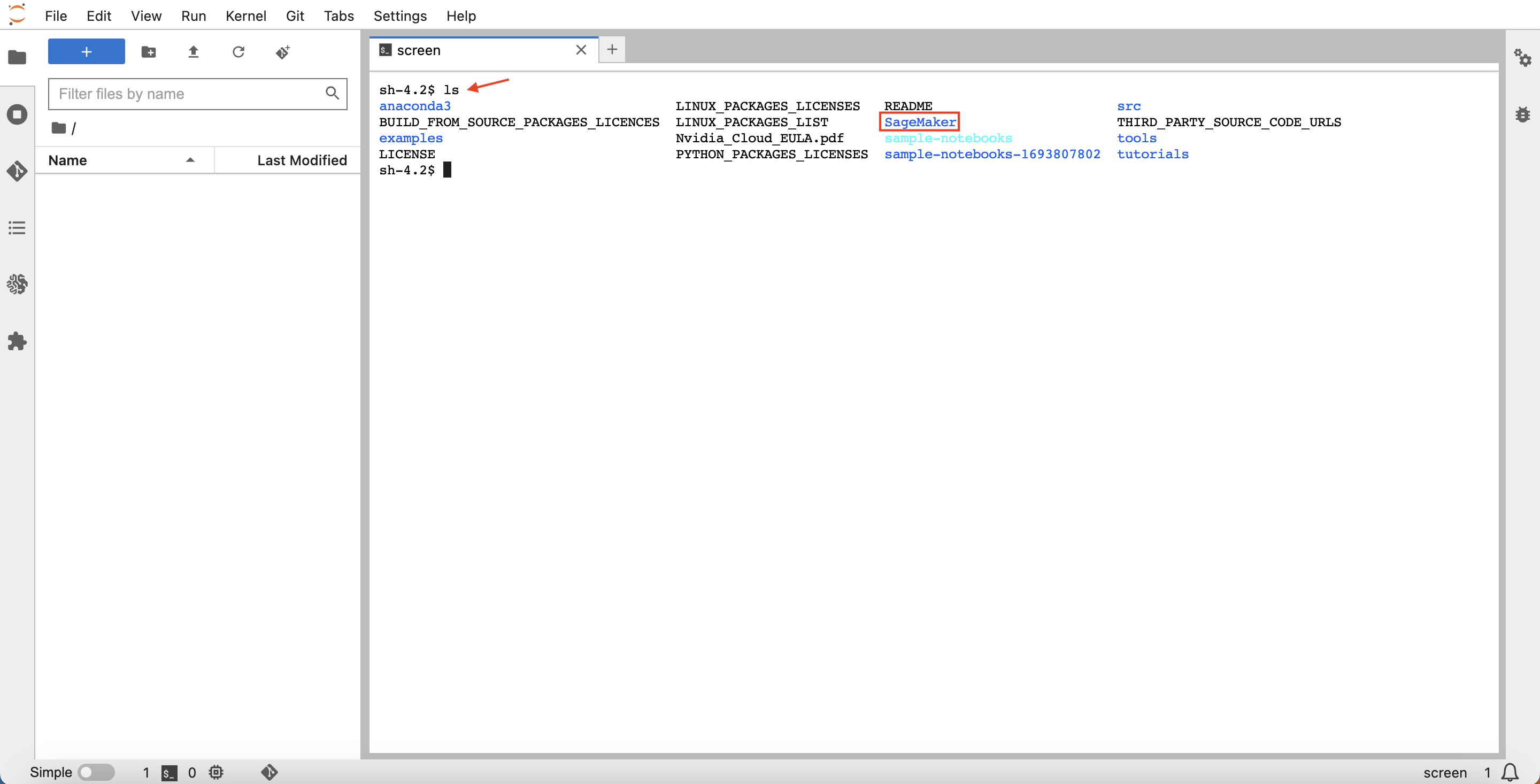 JupyterLab home directory