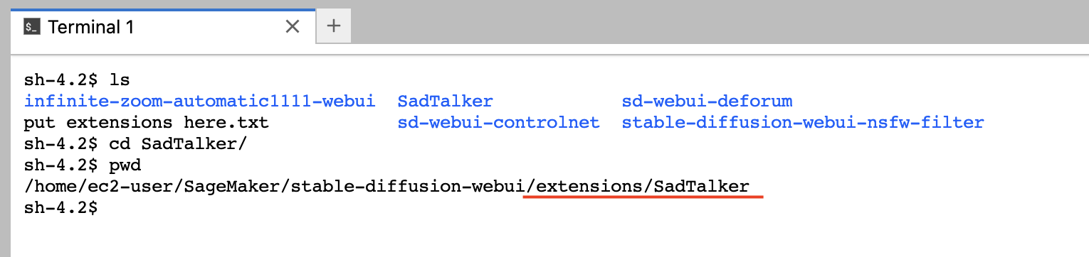 SadTalker extension directory
