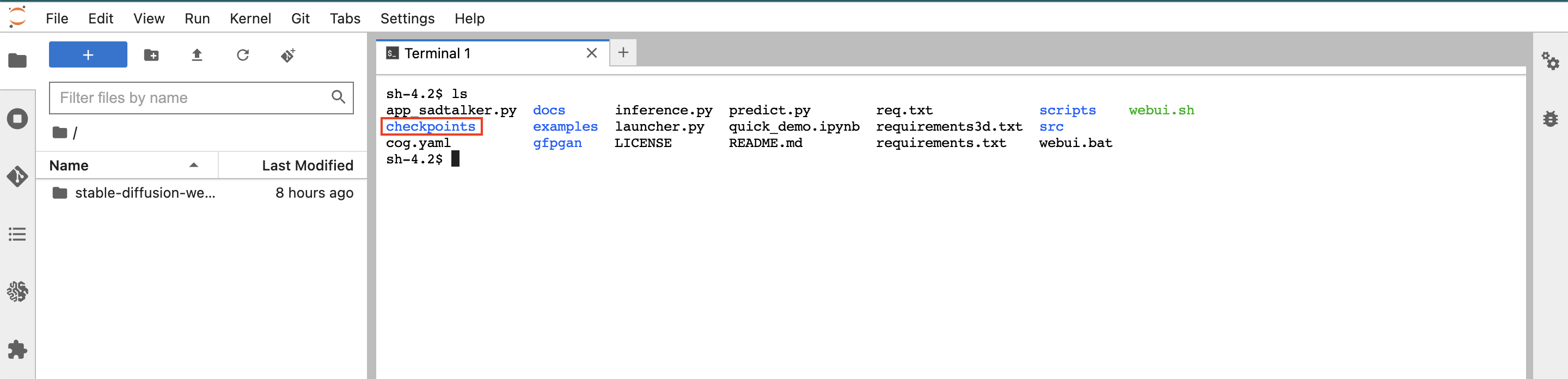 Checkpoints directory