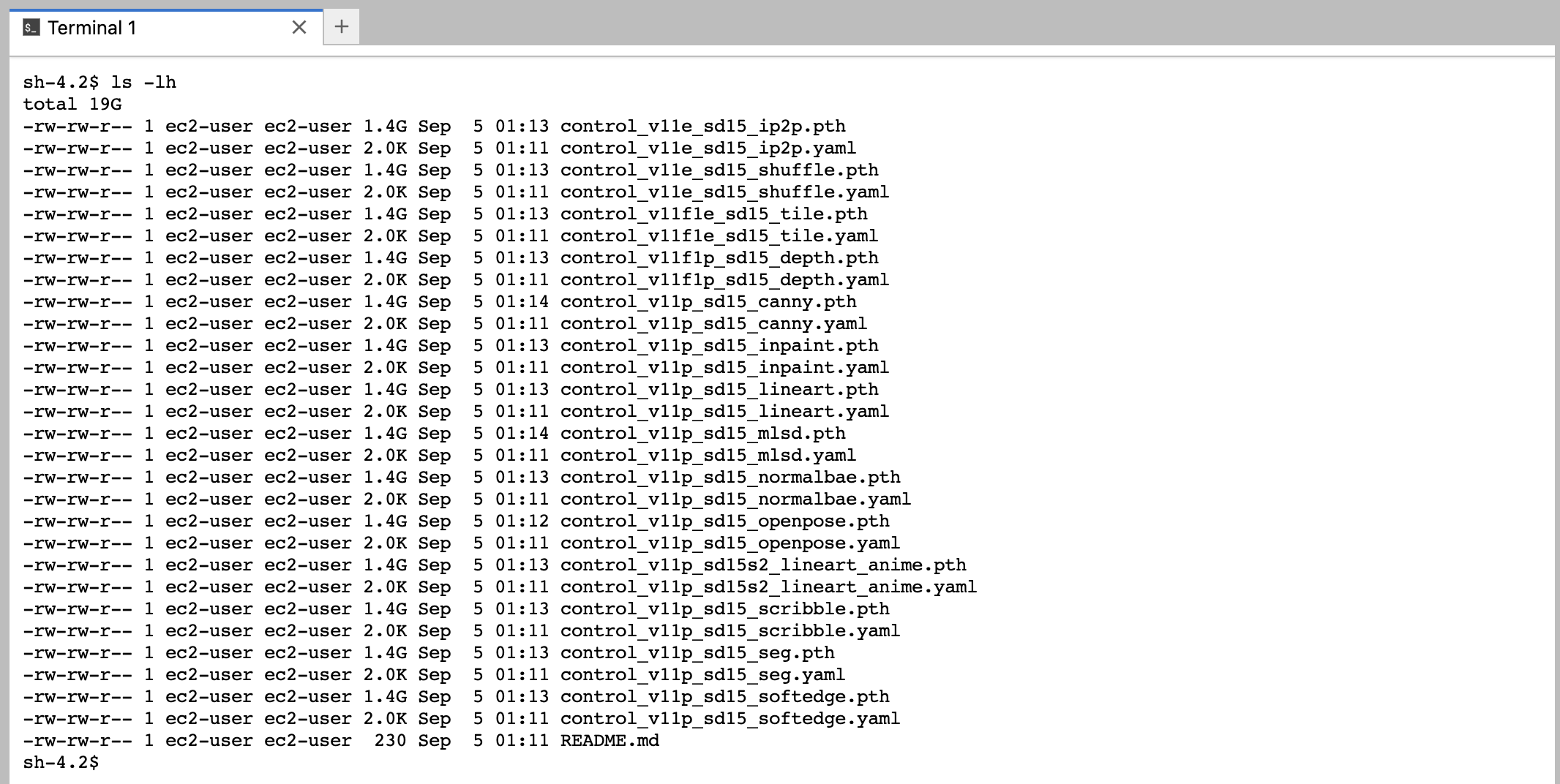 ControlNet checkpoints