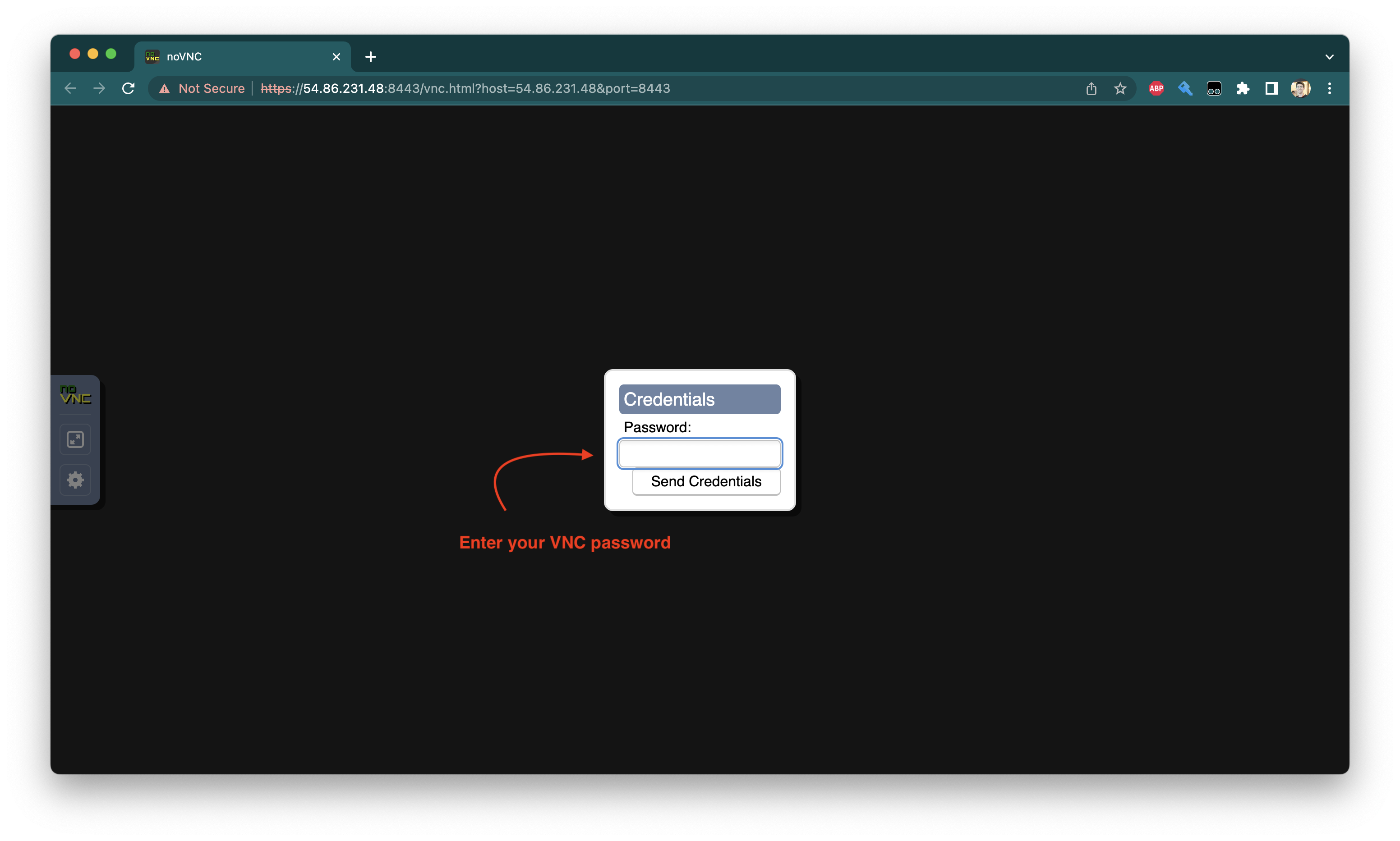 noVNC enter password