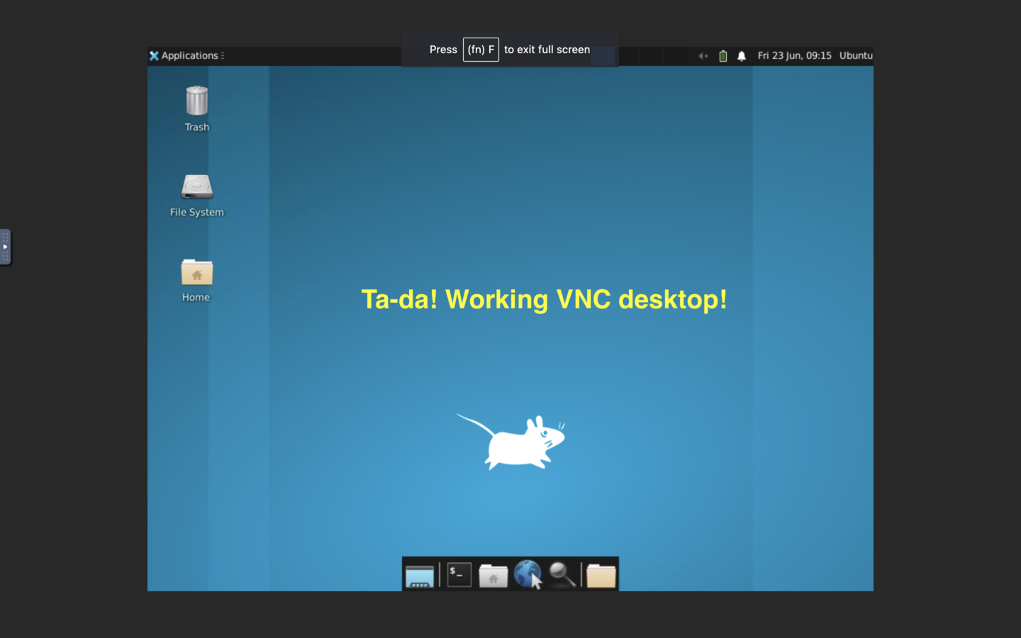noVNC working desktop